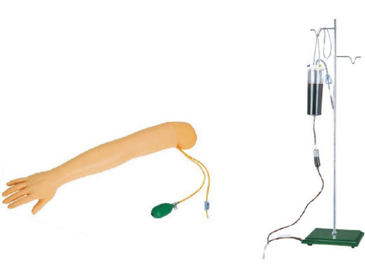 高級手臂動(dòng)脈穿刺及肌肉注射訓練模型
