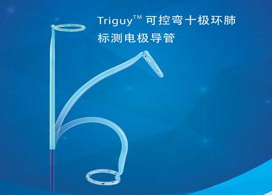 triguy? pv環(huán)狀可控標測導管